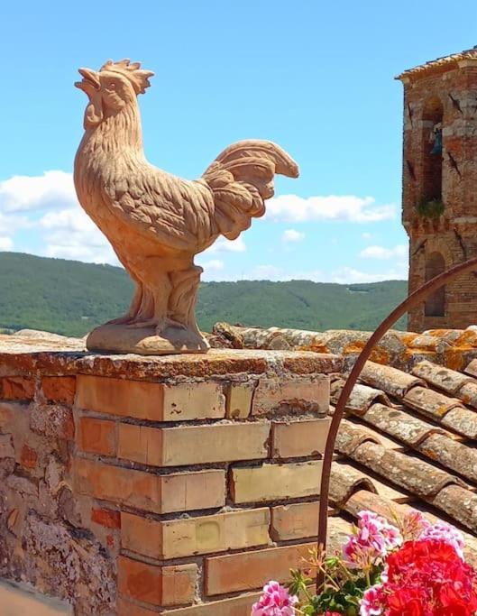 La Casa Del Gallo Radicondoli エクステリア 写真