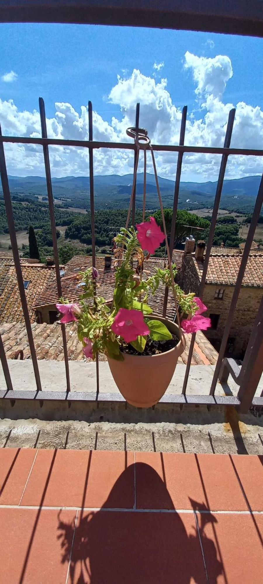 La Casa Del Gallo Radicondoli エクステリア 写真