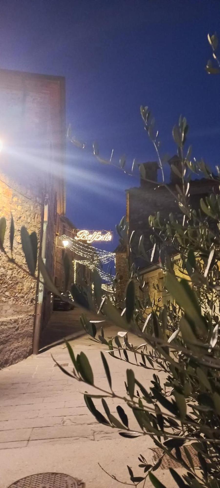 La Casa Del Gallo Radicondoli エクステリア 写真