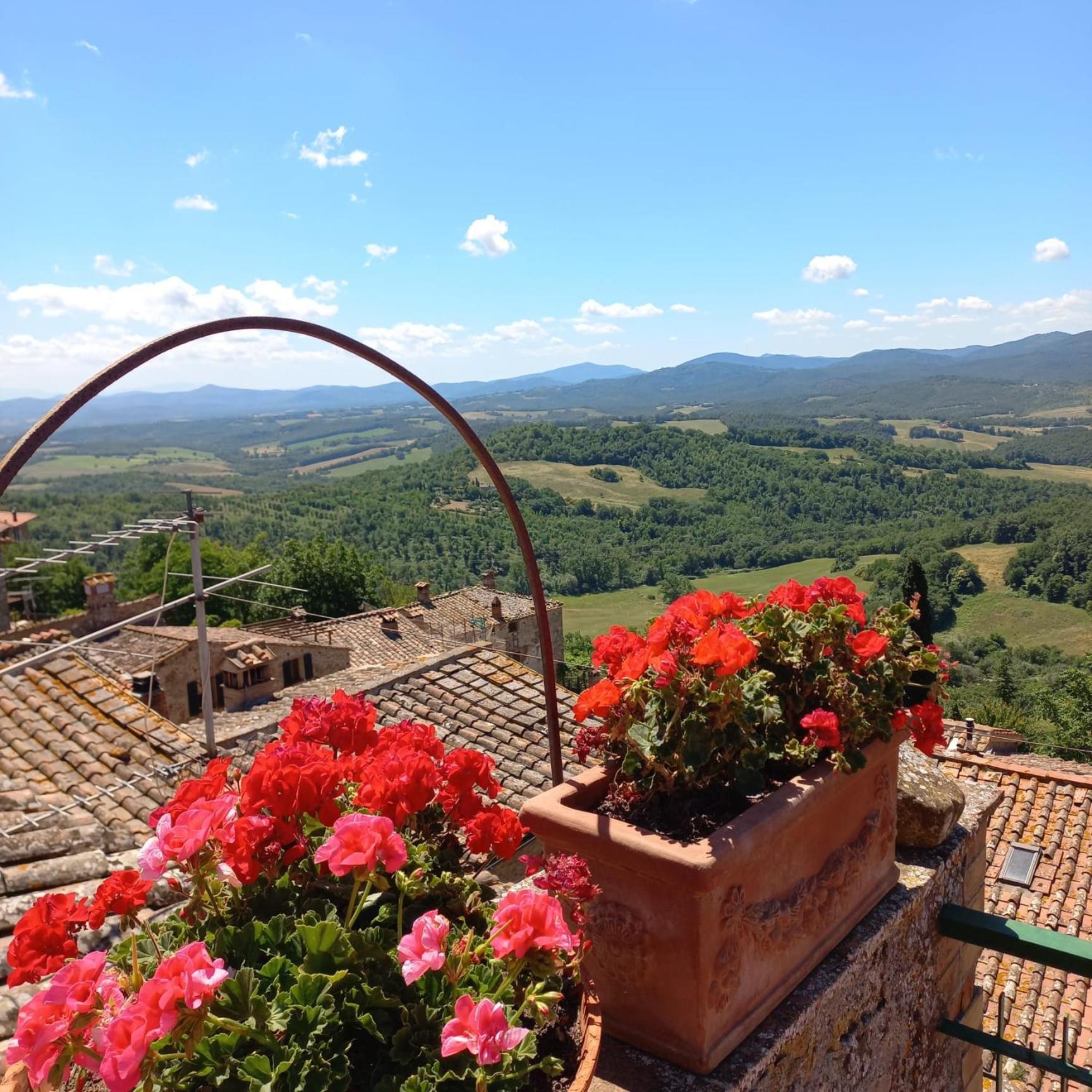 La Casa Del Gallo Radicondoli エクステリア 写真